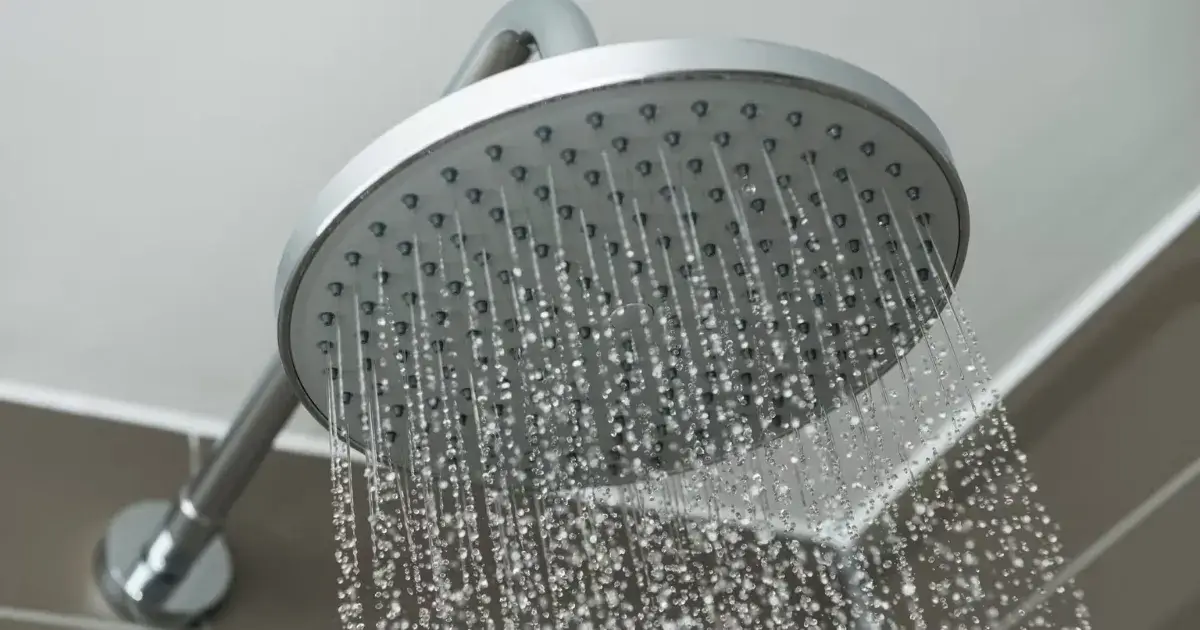 Keep Mold Off Your Shower: Easy Tips to Sanitize Between Cleanings